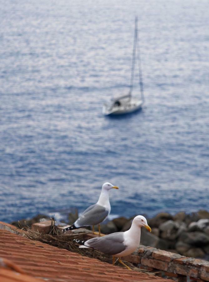Ai Pesci Room Rental Riomaggiore Exteriér fotografie
